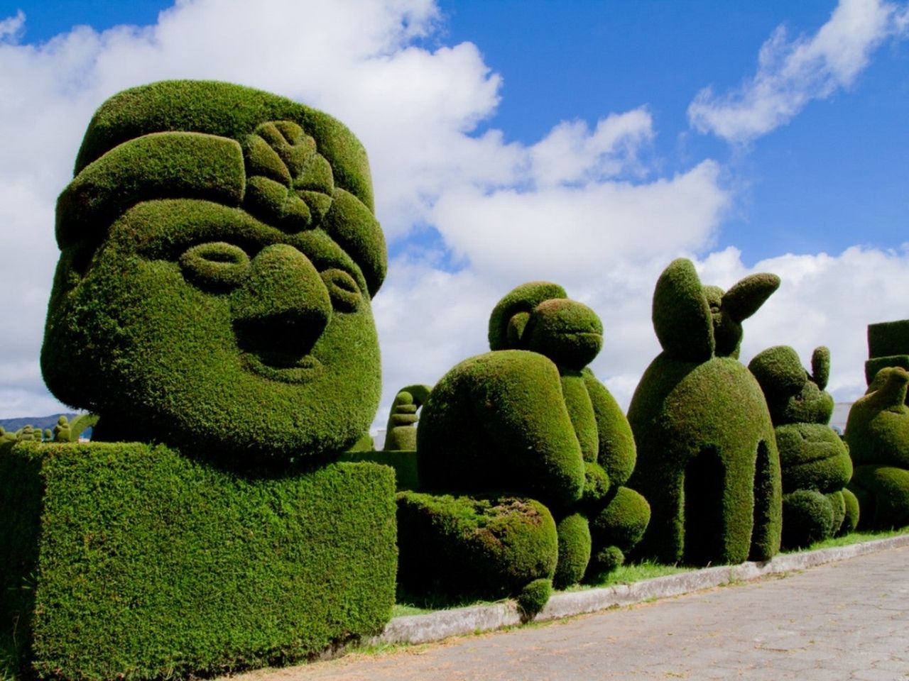 Large Green Shrub Topiary Varieties