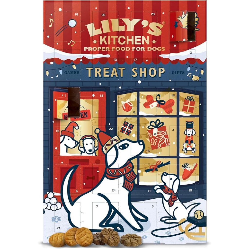 A product shot of the Lily&#039;s Kitchen Advent Calendar for Dogs