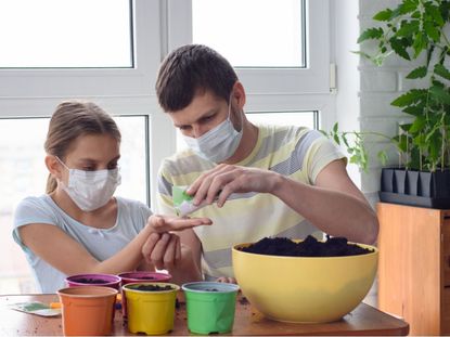 Two People With Masks On Potting Seeds With Soil