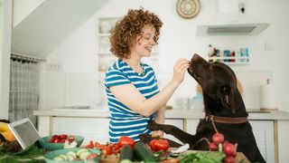 Cheerful young redhead woman with curly hair, giving her dog an obedience training in the kitchen using food and having fun