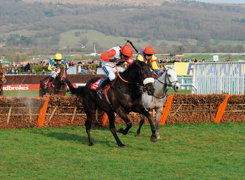 Cheltenham World Hurdle
