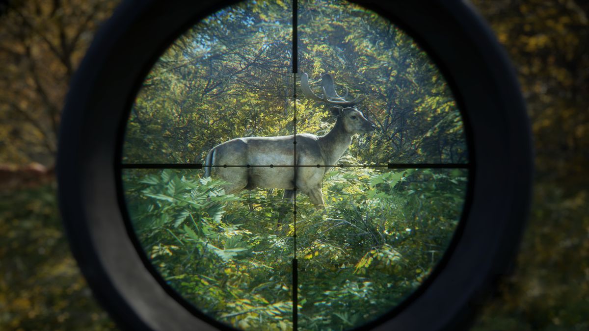 the hunter call of the wild review xbox one