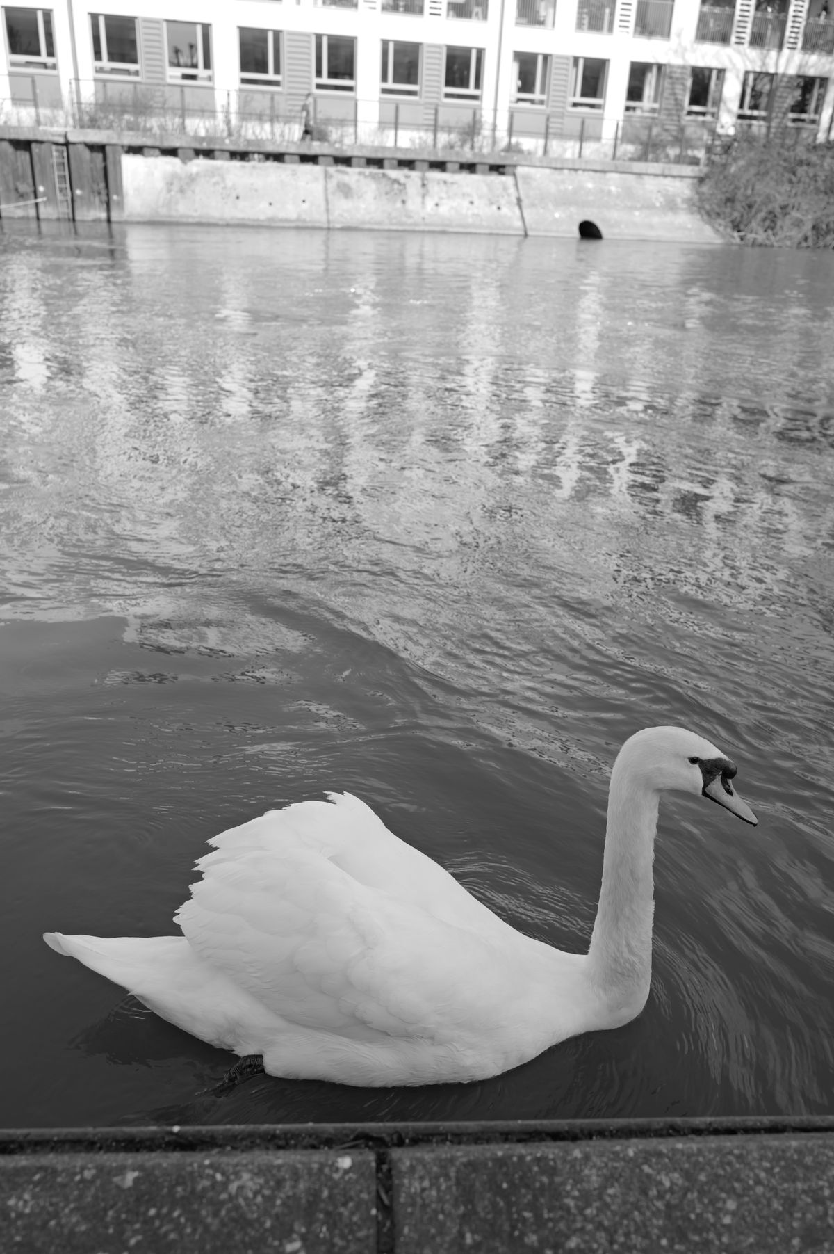 A photo taken on a Leica Q3 Monochrom black-and-white camera