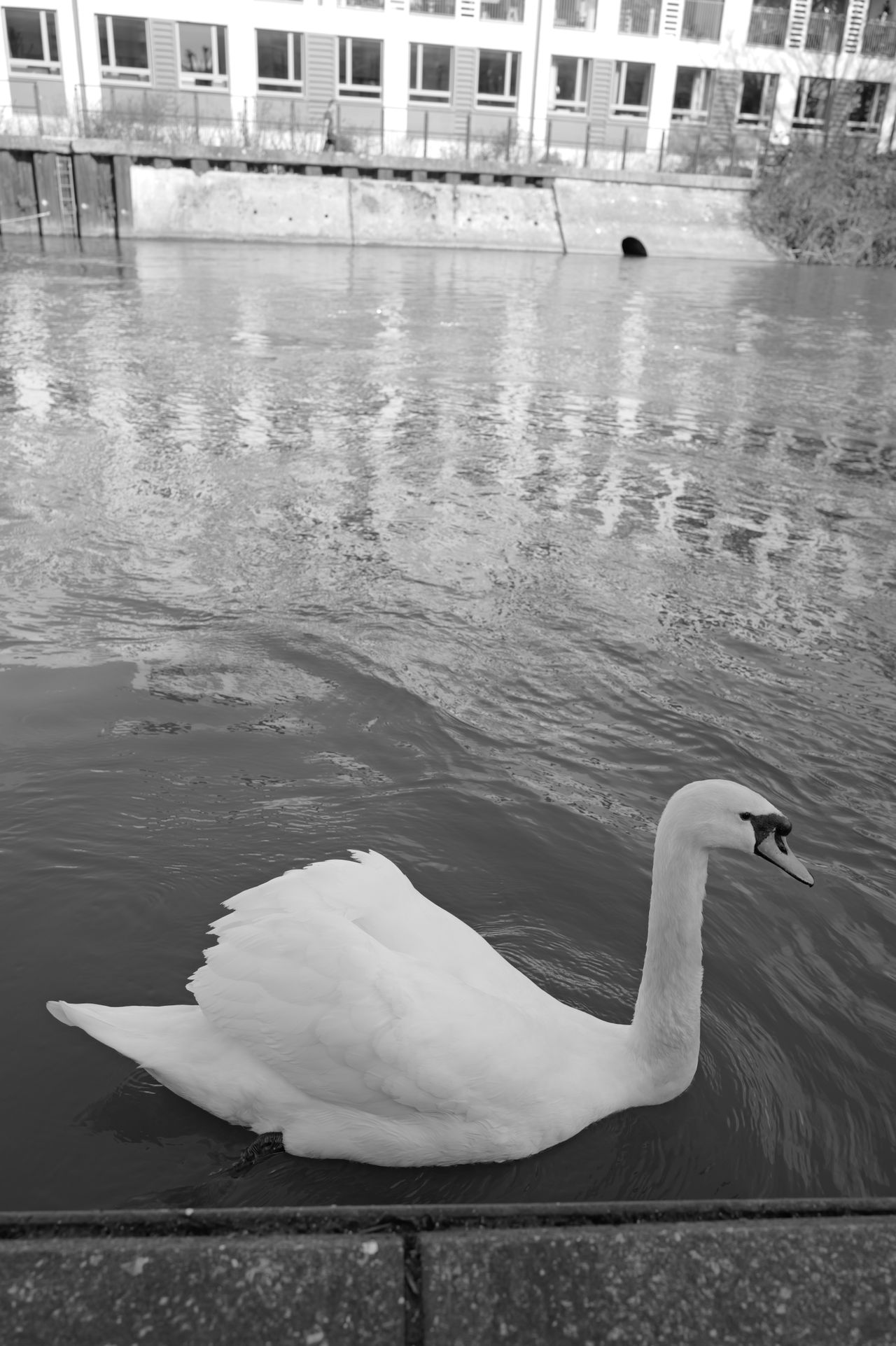 A photo taken on a Leica Q3 Monochrom black-and-white camera
