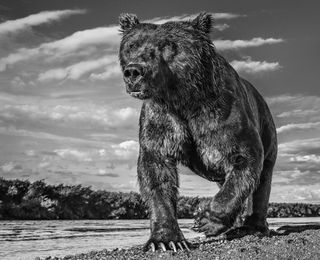 The Fisher king – ©David Yarrow