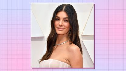 Camila Morrone wears a pastel pink, tulle dress as she attends the 92nd Annual Academy Awards at Hollywood and Highland on February 09, 2020 in Hollywood, California/ in a blue and pink template