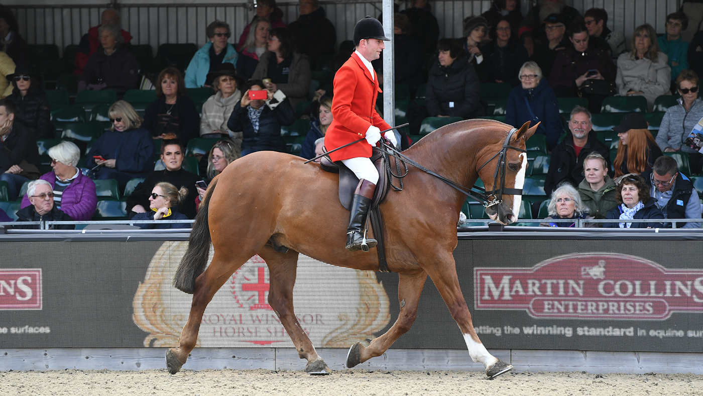 Master Of The House, owned by Mrs J. Byford and exhibited by Oliver Hood, winners of the Martin Collins Enterprises Cob Championship during the Royal Windsor Horse Show held in the private grounds of Windsor Castle in Berkshire in the UK between on 8th-12th May 2019 RWHS 10 05 19