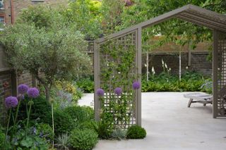 garden divider ideas: pergola in modern garden designed by Tom Howard