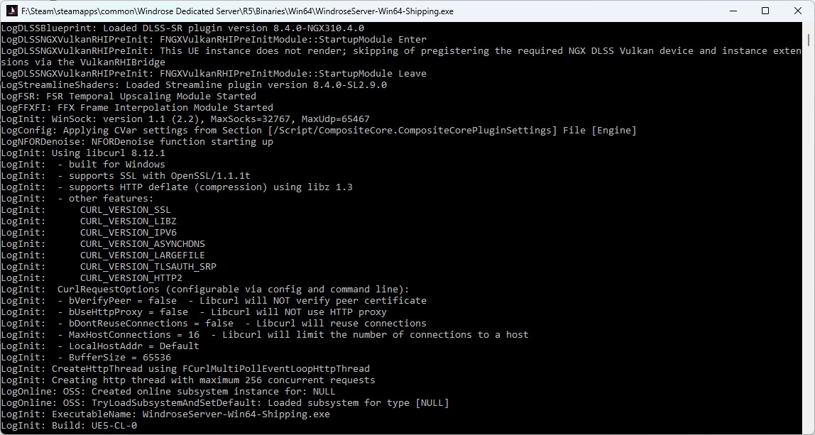 Windrose server terminal