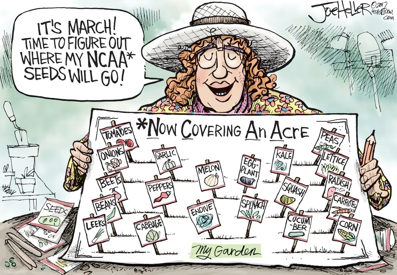 Editorial Cartoon U.S. NCAA March Madness bracket Basketball