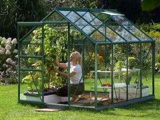 A small green greenhouse could help your plant goals come to life