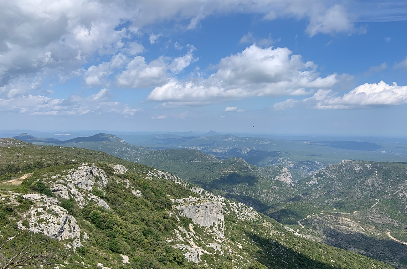 Languedoc 2022 2023 vintages - view from Mont St-Baudille