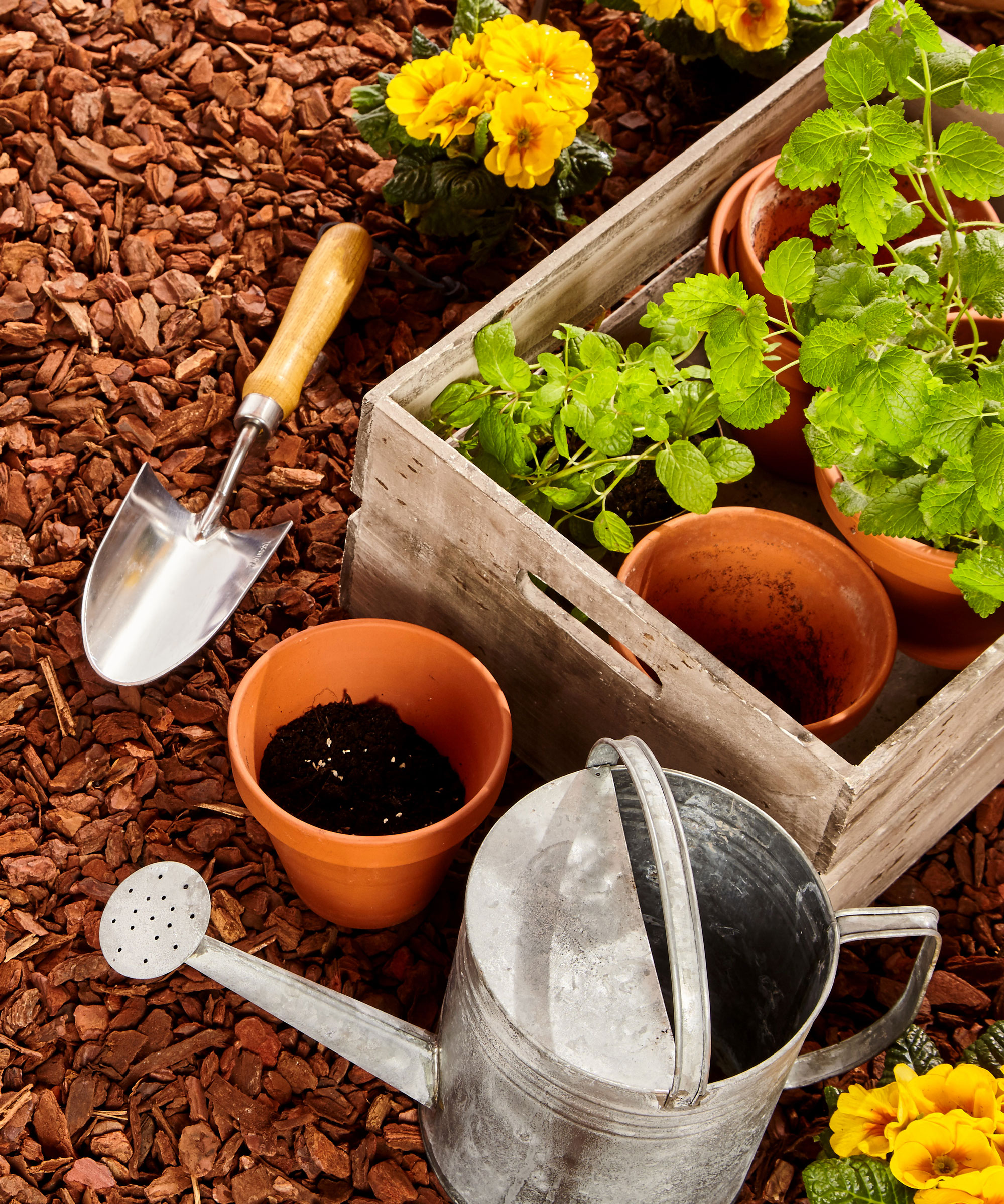 watering can with pots and trowel and plants