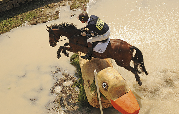William Fox-Pitt, Seacookie chatsworth 2008