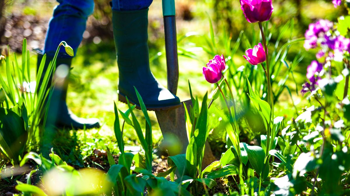 10 Things to do to Revive Your Yard After Winter | Livingetc