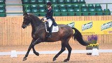 Laura Tomlinson and Full Moon in canter competing at Hartpury.