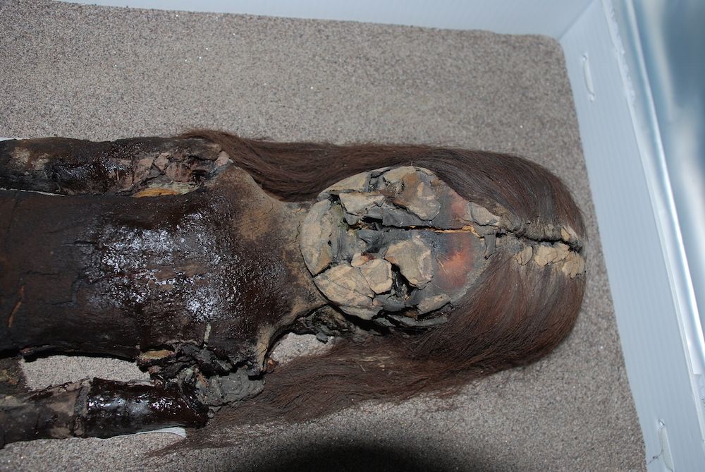 Chinchorro mummy with black ooze