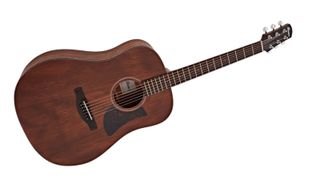 Best dreadnought guitars: Ibanez AAD140