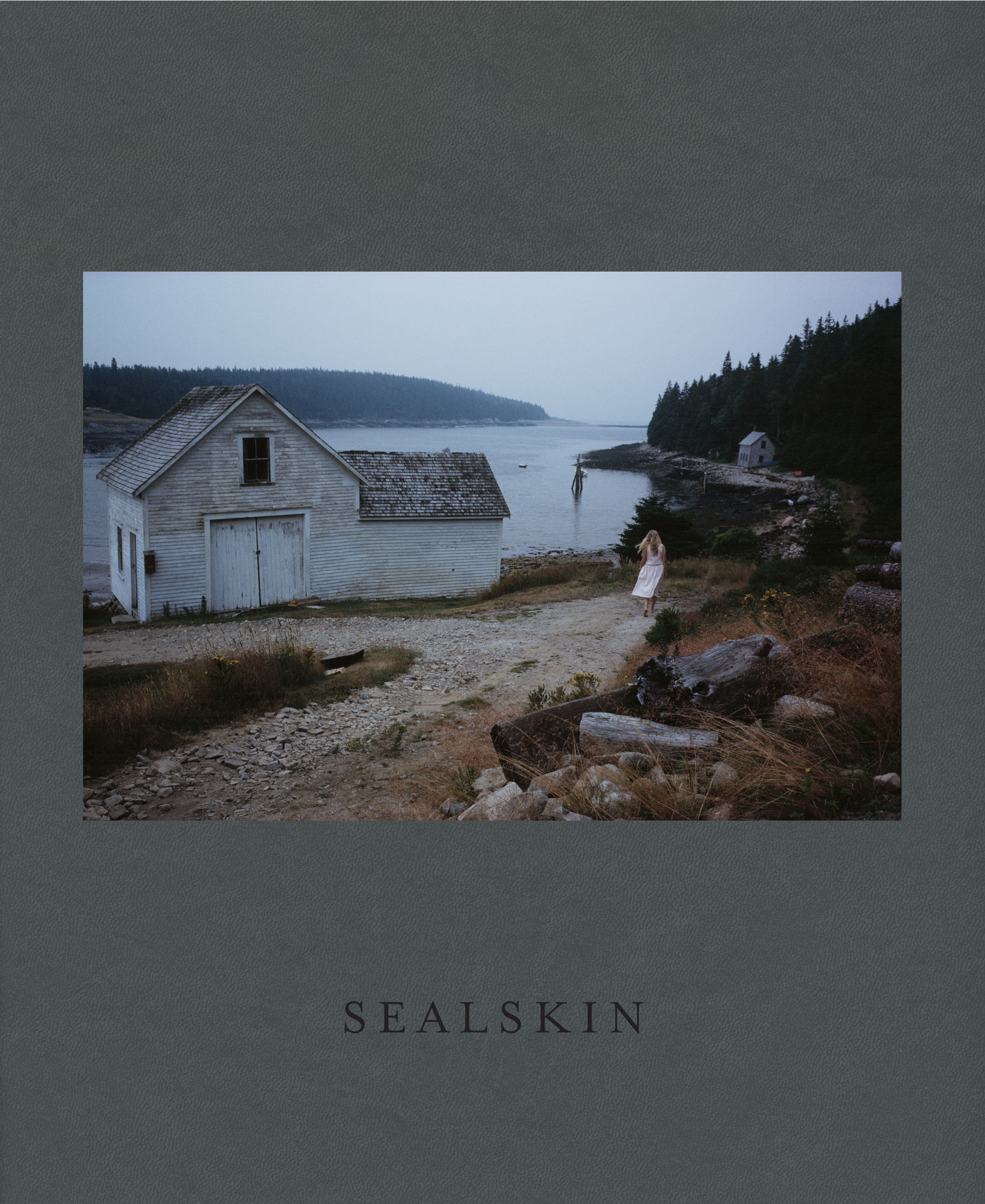 the front cover of SealSkin by Jeff Dworsky