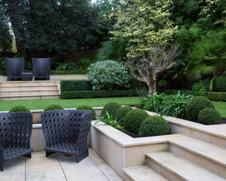 small backyard with change of levels, paved patio areas and steps surrounded by evergreen planting