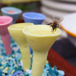 Bee drinking water out of colorful bee cups