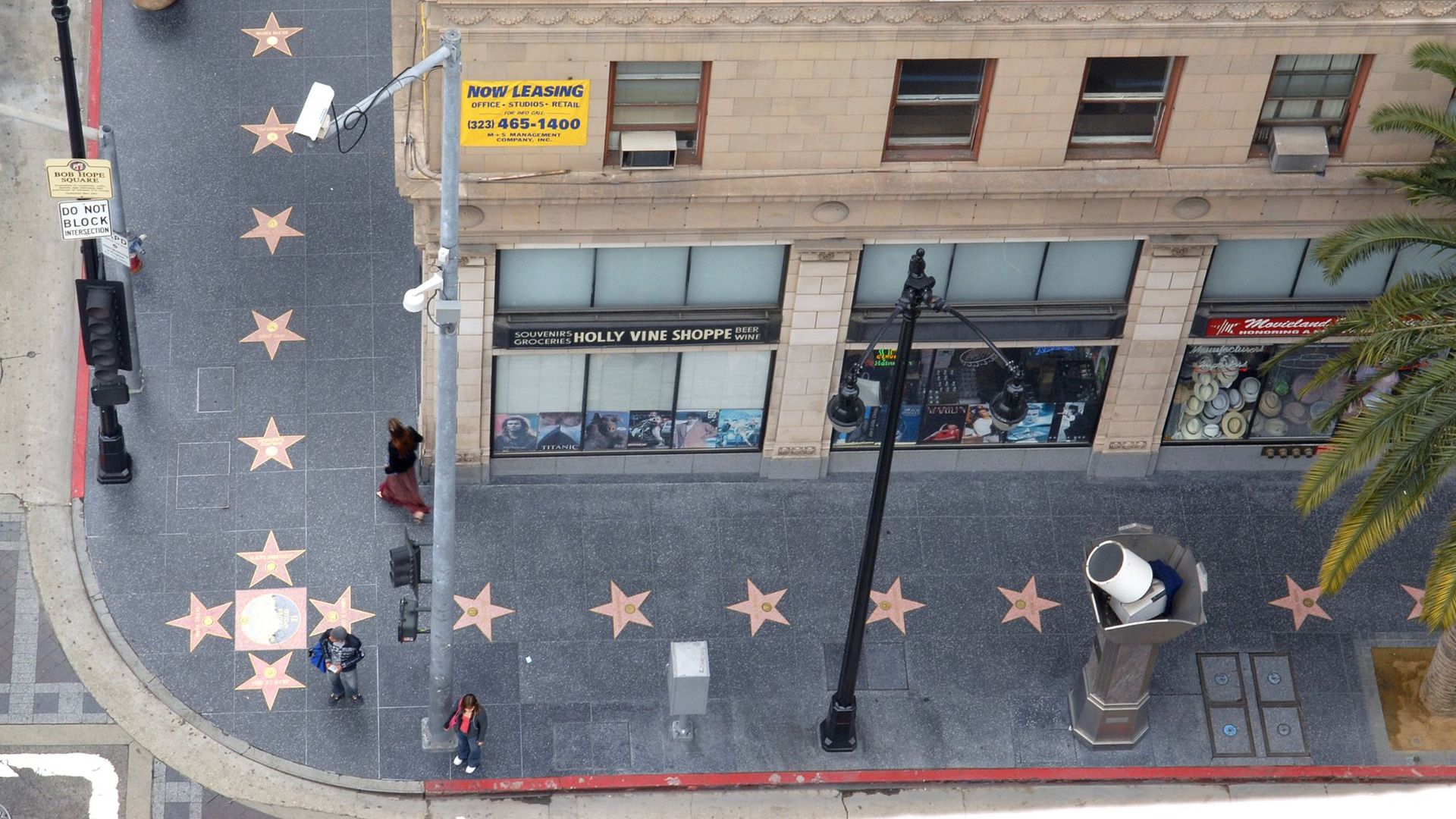 Hollywood Walk of Fame stars