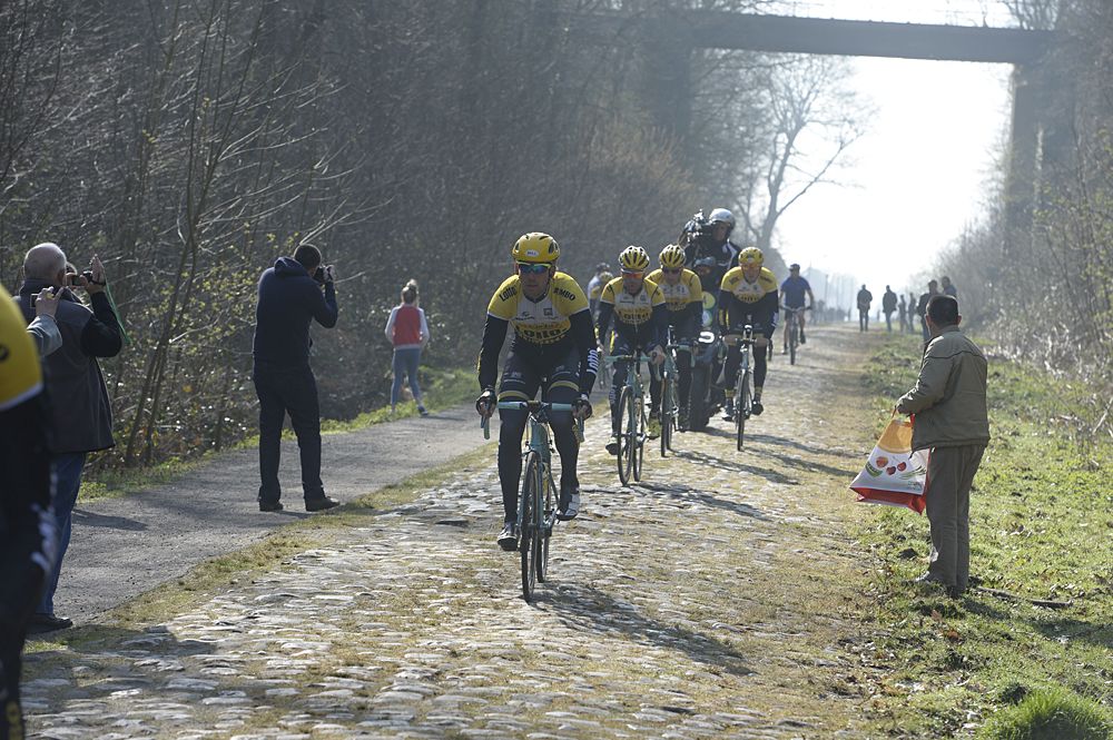 LottoNl-Jumbo in the Arenberg Forest