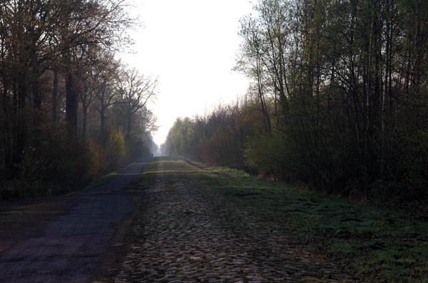 Calm before the storm in the Arenberg Forest.