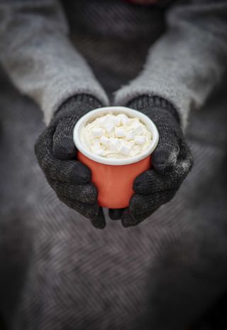 person holding a cup of hot chocolate with marshmallows