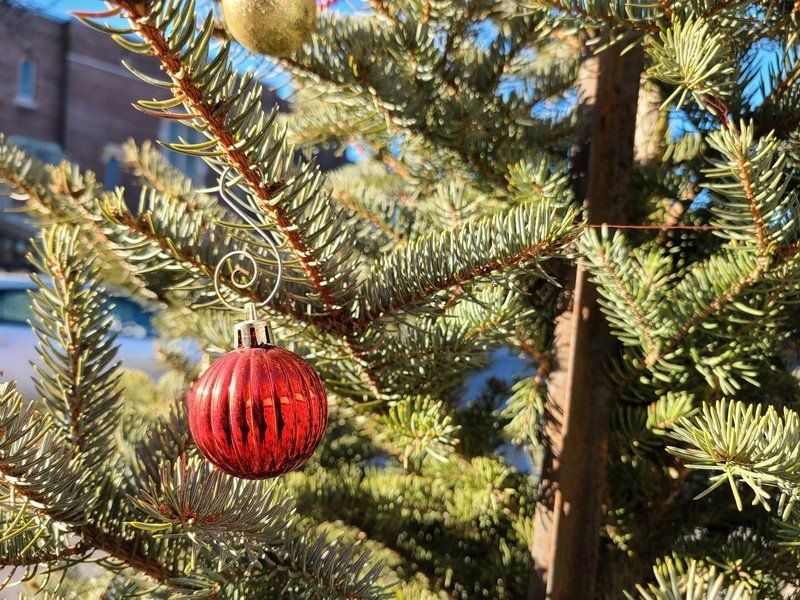 Galaxy S20 Plus Camera Sample Christmas Ornament