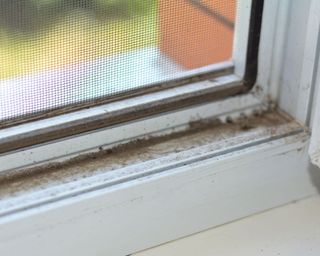 window tracks covered in dirt