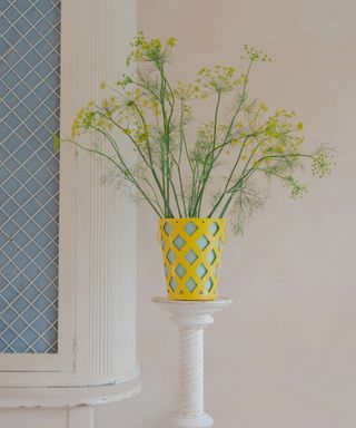 Matilda Goad yellow trellis planter on pedestal next to white and blue storage unit