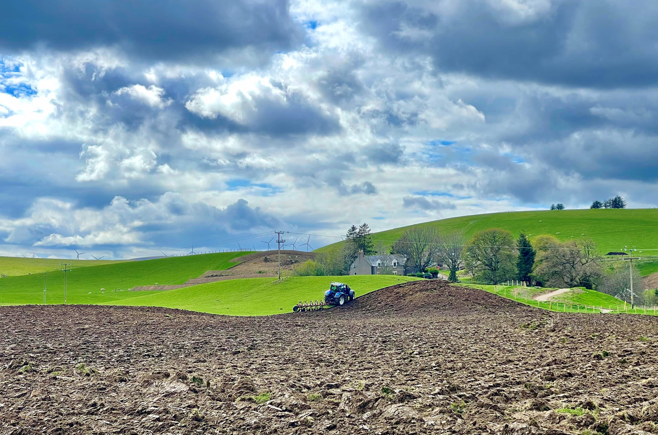 A tractor in the middle of a field