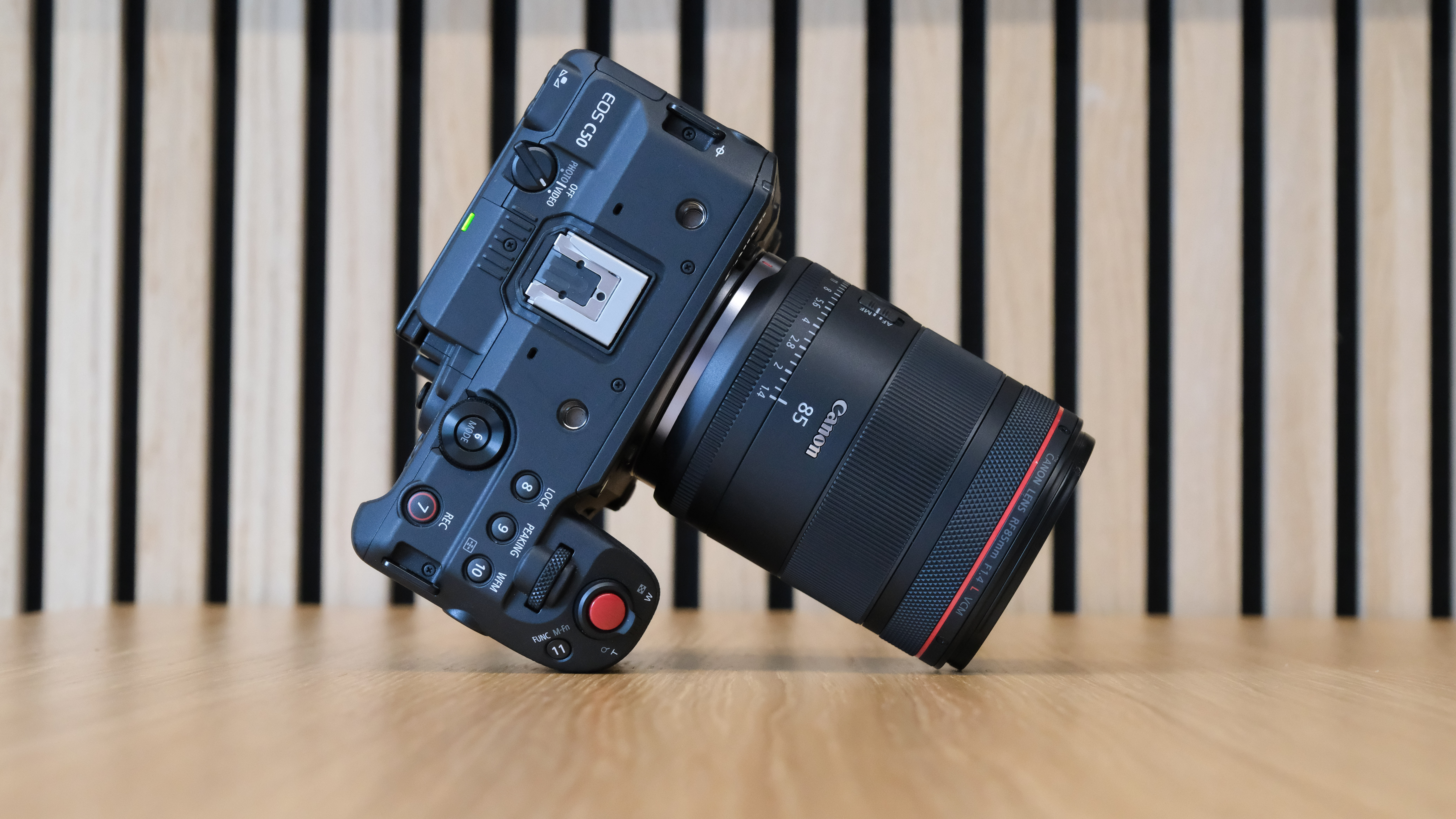 Canon EOS C50 with Canon RF 85mm f/1.4L VCM against a striped wooden background
