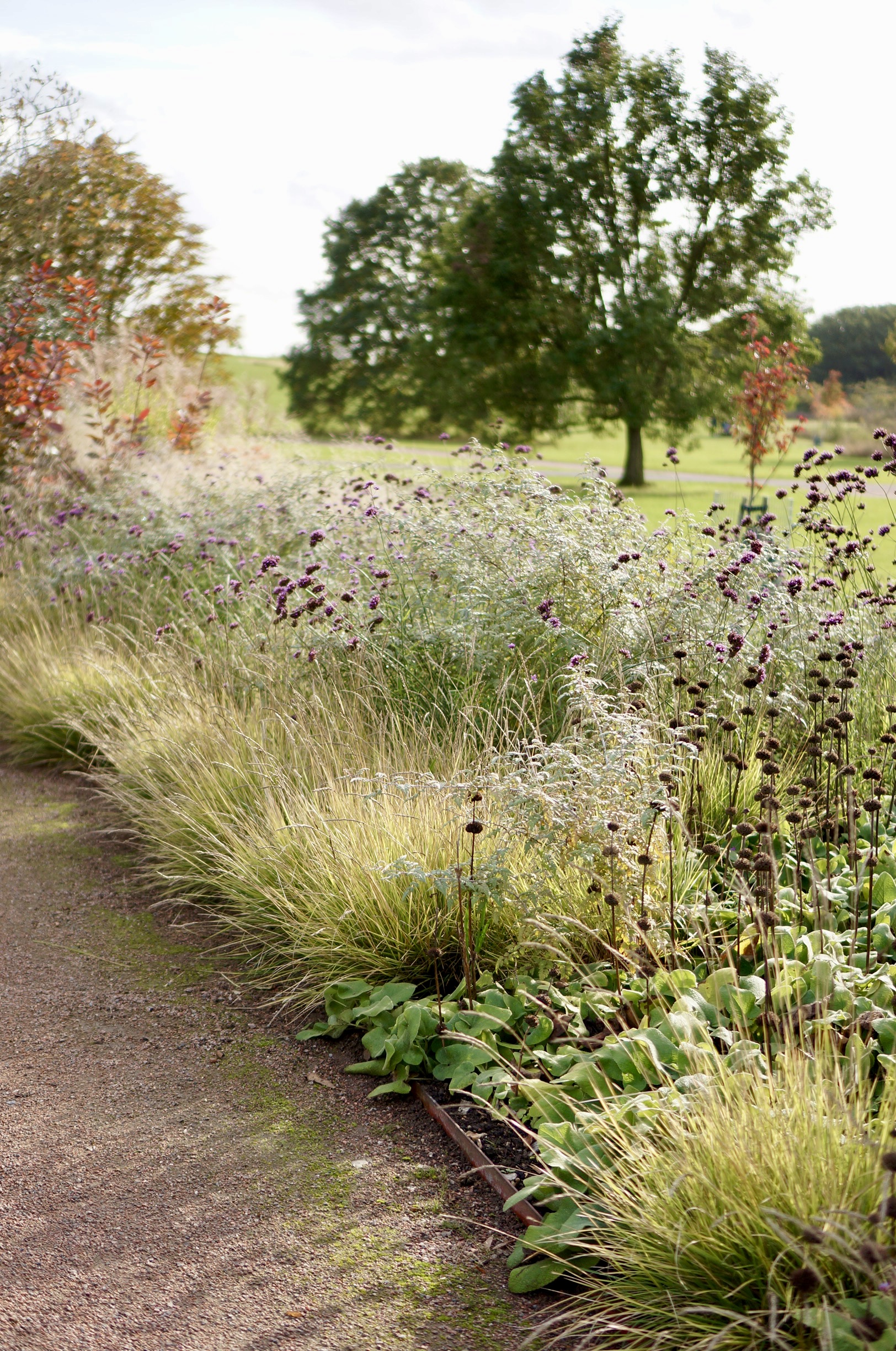 beautiful, overgrown garden around a gravel path