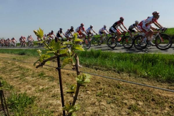 The bunch had a pretty picturesque ride.