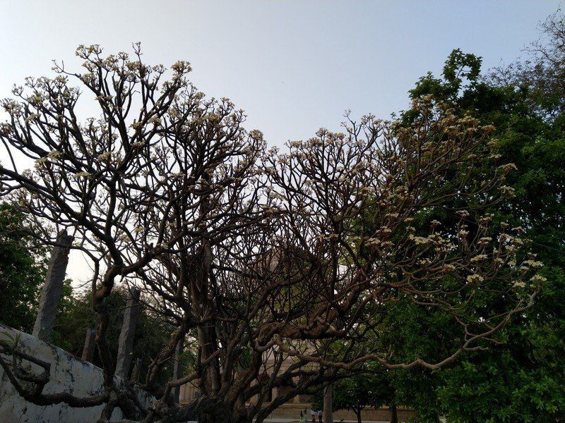 Nokia 7 Plus camera sample