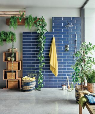 Blue tiled bathrooms with indoor bathroom plants and various accessories