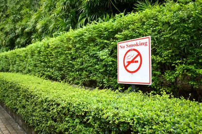 No Smoking Sign On Shrub Plants