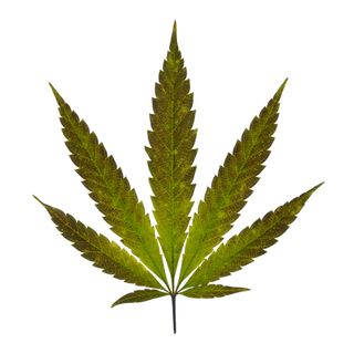 Does thc grow naturally in weed