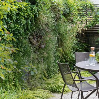 garden with living wall table and chair