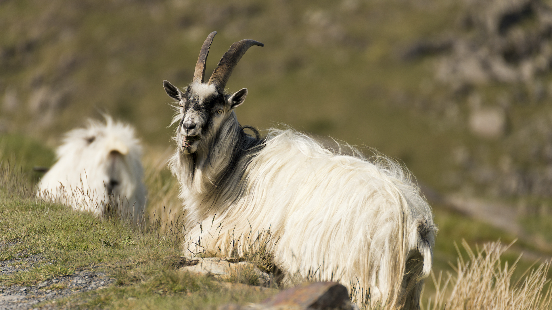 Discover Snowdonia Advnture Discover Snowdonia Advnture