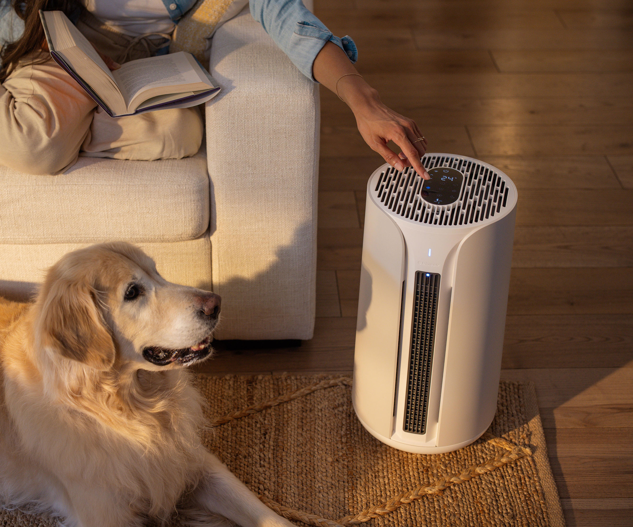 living room with dog and air purifier