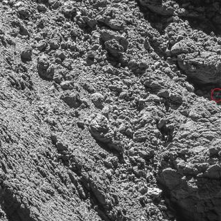 This image from Rosetta's OSIRIS narrow-angle camera is the discovery image that finally spotted the Philae lander (which we've identified in a red circle at far right, near center).