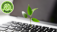 Plant growing out of a laptop keyboard with a Sustainability Week logo superimposed