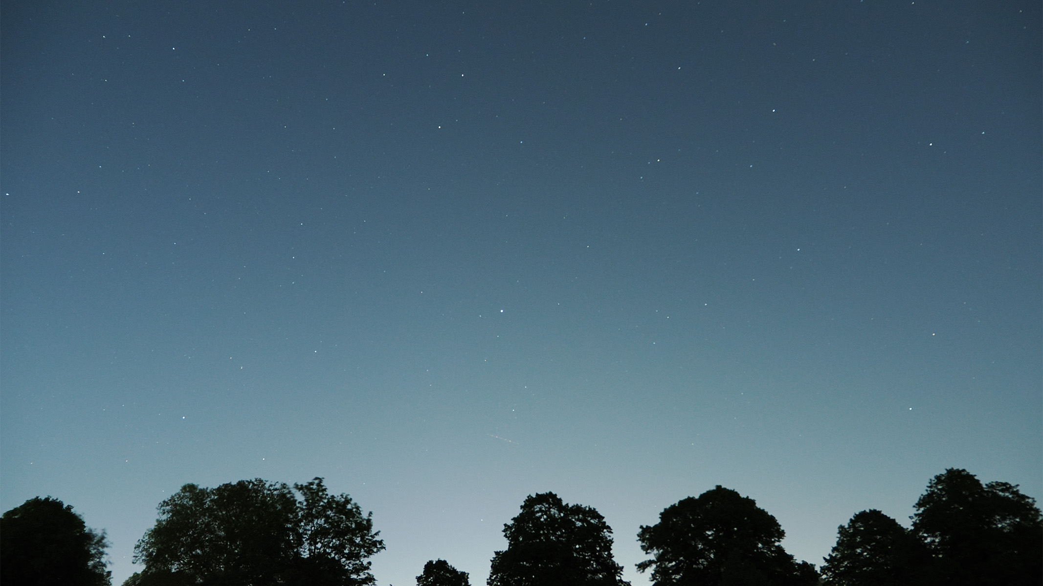 starry sky above a treeline