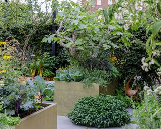 sensory garden designed by Alan Williams