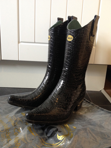Wellies1.jpg