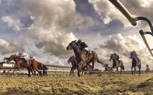 lingfield_polytrack.jpg