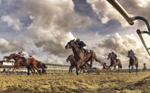 lingfield_polytrack.jpg